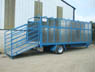 20FT Cattle Trailer